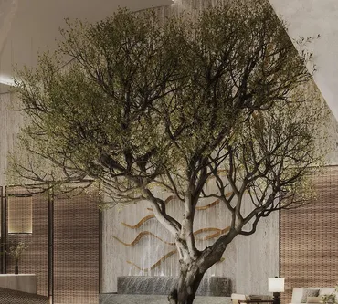 Six Senses Residence