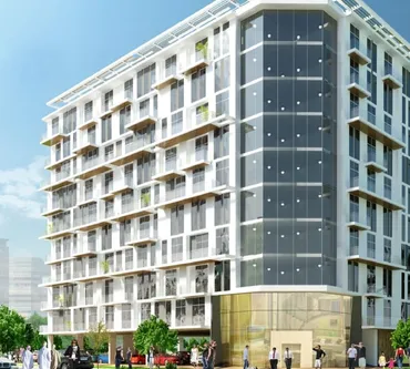 Bliss Homes