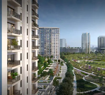 Lime Gardens