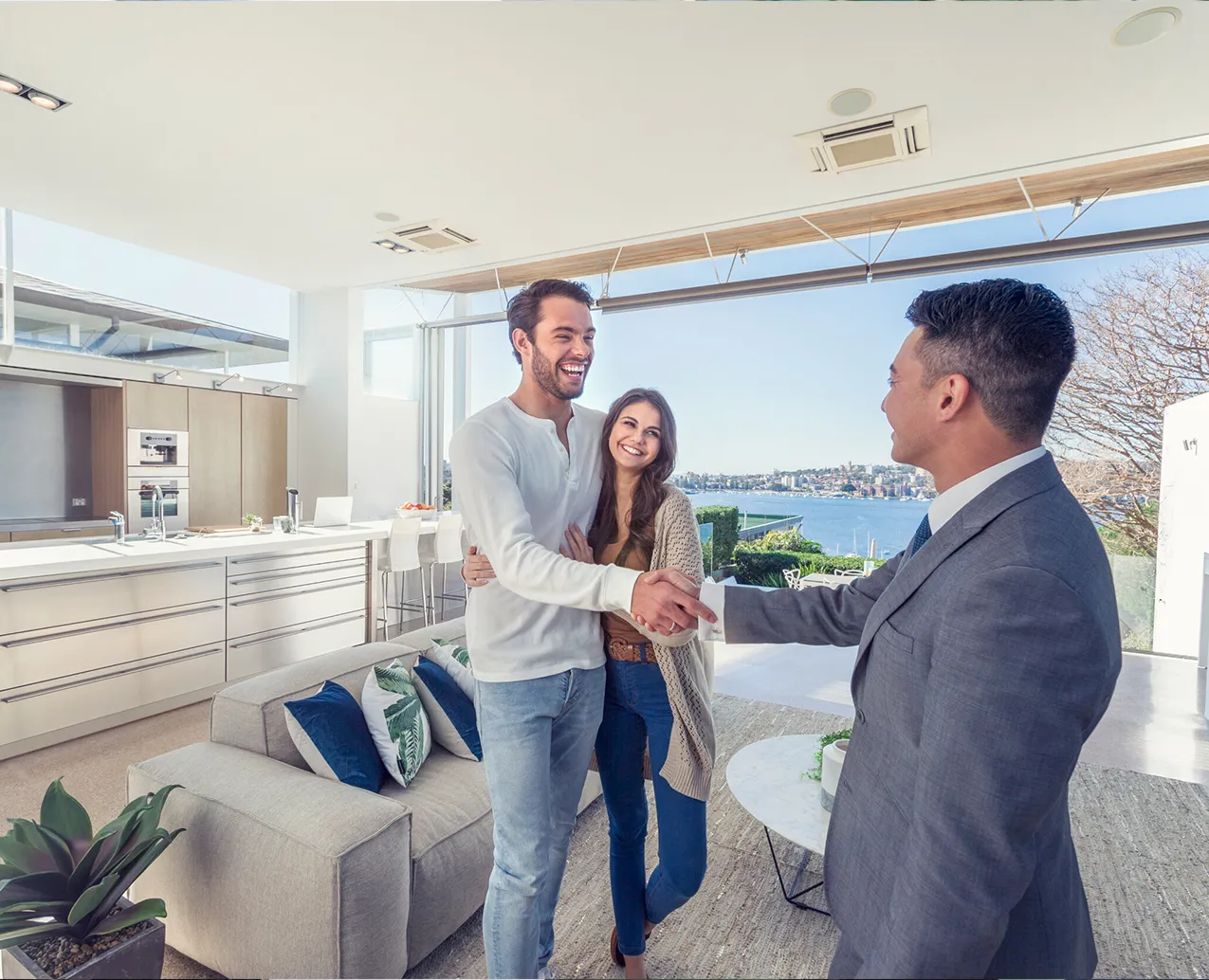 Professional property selection based on your requirements and budget: